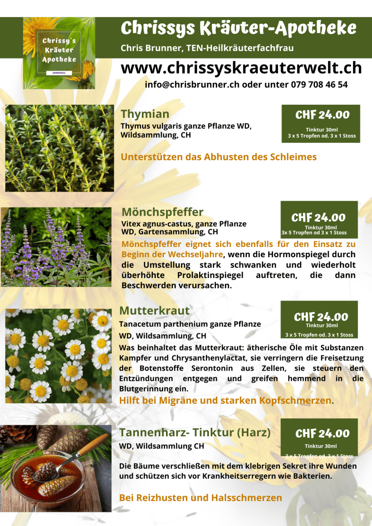 Ein Flyer für Chrissys Kräuter-Apotheke wirbt für natürliche Kräutertinkturen, darunter Thymian, Mönchspfeffer, Herzgespann und Tannensprossen, mit Beschreibungen, Preisen und Kontaktdaten auf grün-gelbem Hintergrund.