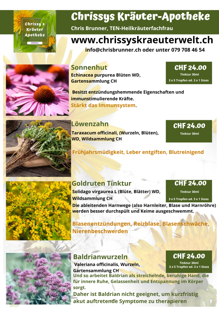 Der Flyer für Chrissys Kräuter-Apotheke zeigt Kräutertinkturen mit Bildern und Beschreibungen: Echinacea, Löwenzahn, Goldrute und Baldrian, jeweils mit Angaben zu Preisen und Wirkungen. Kontaktdaten und Website finden sich oben auf der Seite.