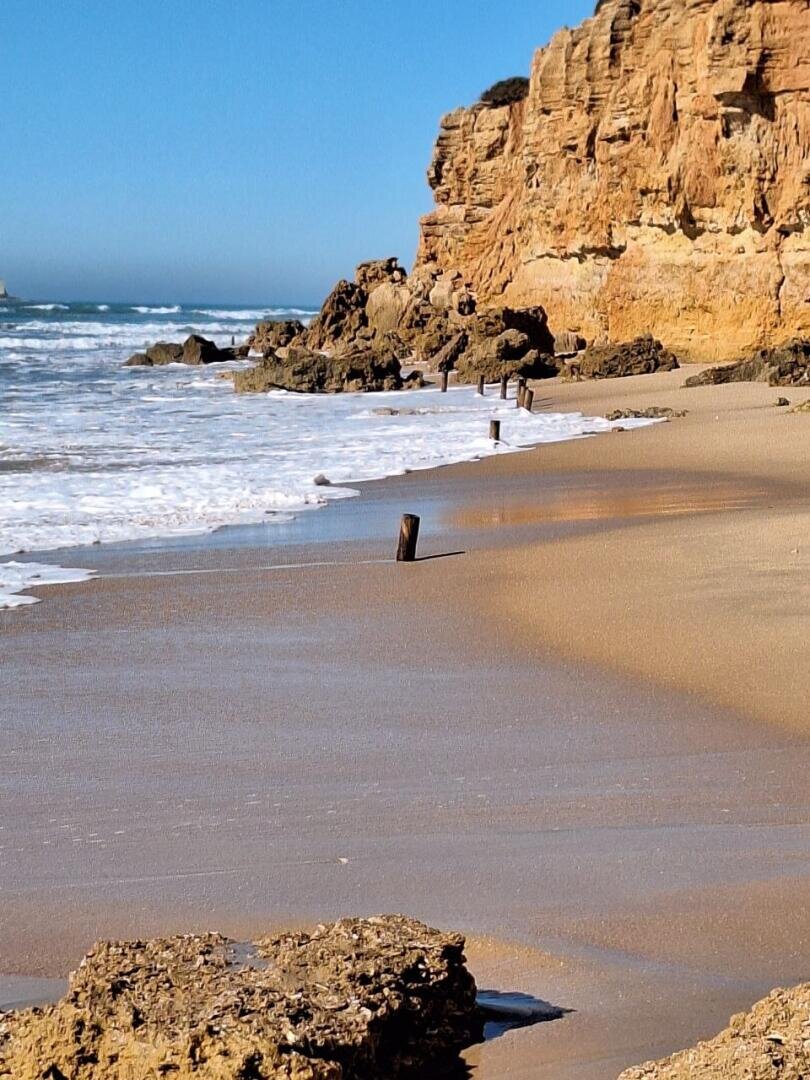 Ein Sandstrand mit sanften Wellen, felsigen Klippen im Hintergrund und einigen Holzpfählen im Sand nahe der Wasserlinie unter einem strahlend blauen Himmel.