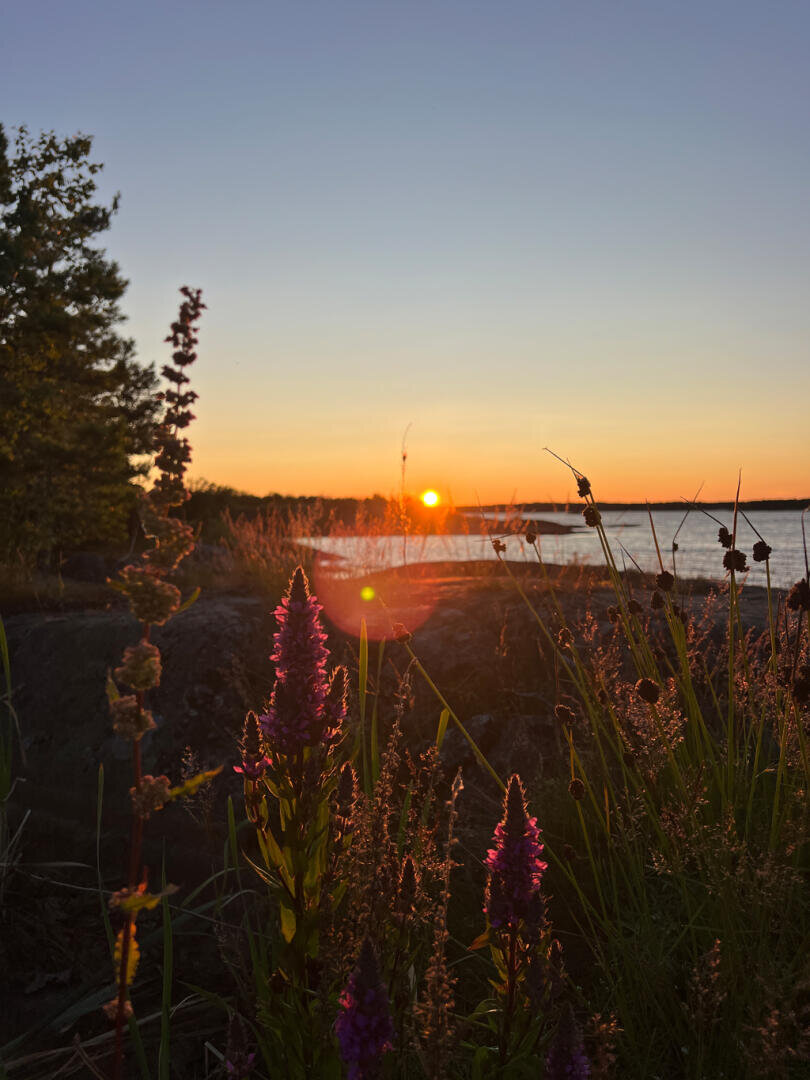 Wildblumen und hohe Gräser im Vordergrund, die Sonne geht über einem ruhigen Gewässer unter und wirft ein warmes orangefarbenes Licht auf den Himmel. Bäume und Felsen säumen den Rand des Wassers auf der linken Seite des Bildes.