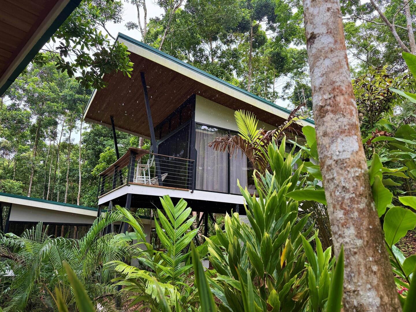 Ein modernes Haus mit großen Fenstern und einem schrägen Dach ist von üppigen tropischen Pflanzen und Bäumen in einem dichten Wald umgeben. Ein kleiner Balkon mit Stühlen bietet einen Blick ins Grüne.