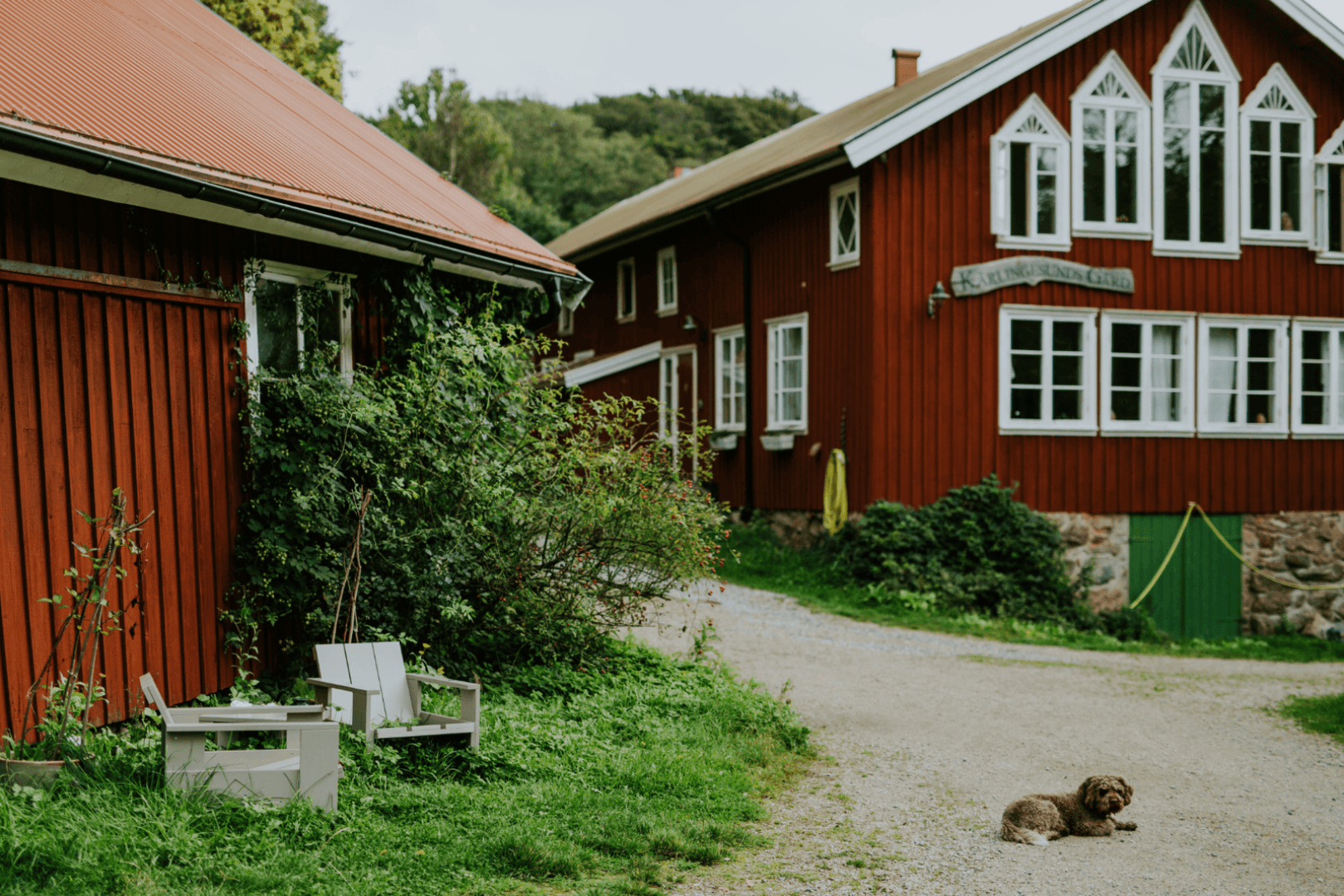 Ein kleiner brauner Hund liegt auf einem Kiesweg zwischen zwei roten Holzhäusern mit weißen Zierleisten, umgeben von Grün und Gartenmöbeln in einer ländlichen Umgebung.