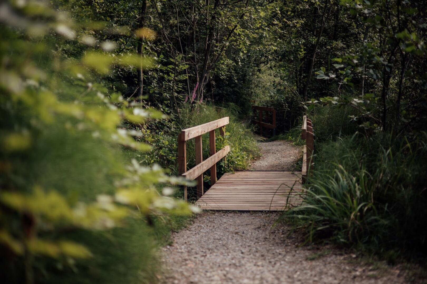 Eine schmale Holzbrücke überquert einen Waldweg, der von üppig grünen Bäumen und Pflanzen gesäumt ist, und ein Schotterweg führt in den dichten Wald hinein.