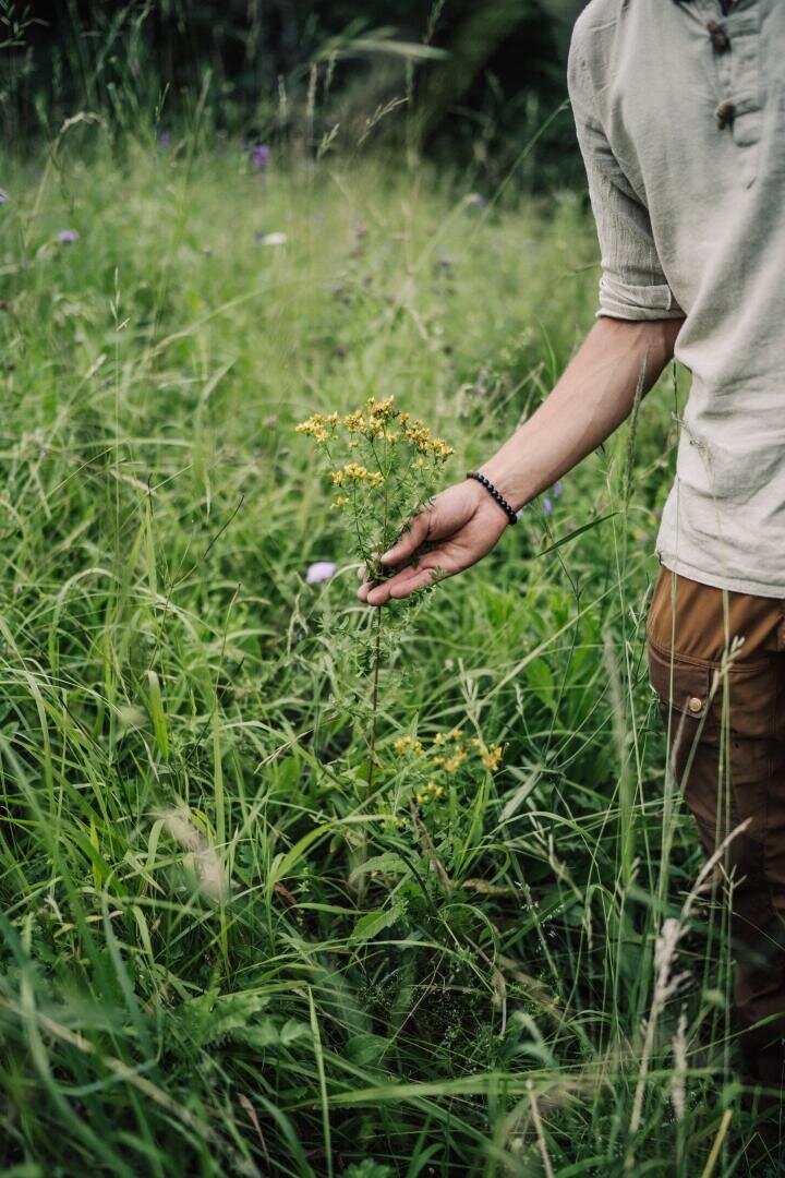 Eine Person steht im hohen Gras und hält eine kleine gelbe Wildblume in der Hand; ihr Arm ist ausgestreckt, und nur ihr Oberkörper und ihr Arm sind zu sehen. Der Hintergrund ist üppig und grün und mit verschiedenen Pflanzen bewachsen.