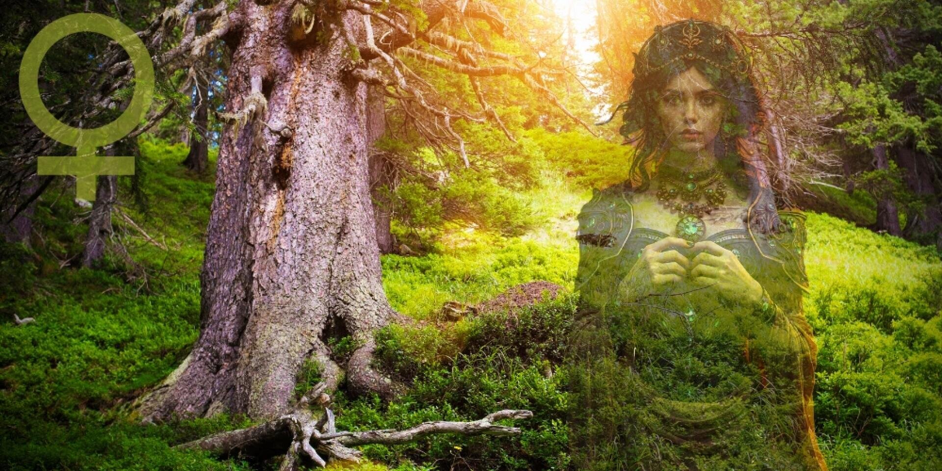 Eine mystische Frau in dunkler Kleidung steht in einem sonnenbeschienenen Wald, der wie ein Geist halb durchsichtig erscheint. Ein großer Baum dominiert die Szene, in der oberen linken Ecke ist ein weibliches Symbol eingeblendet.