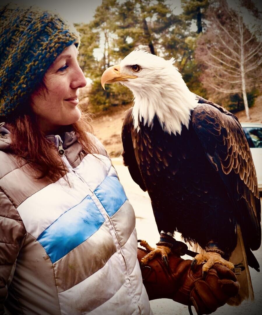Eine Frau in Winterjacke und Strickmütze betrachtet einen Weißkopfseeadler, der auf ihrer behandschuhten Hand im Freien sitzt, mit Bäumen und einem Auto im Hintergrund.
