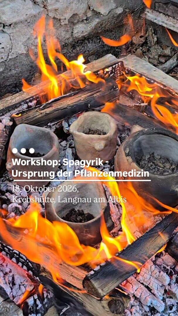 Tontöpfe, umgeben von brennendem Holz in einer Feuerstelle aus Stein. Ein eingeblendeter Text kündigt einen Workshop über spagyrische Pflanzenheilkunde an, der am 18. Oktober 2026 in Langnau am Albis stattfindet.