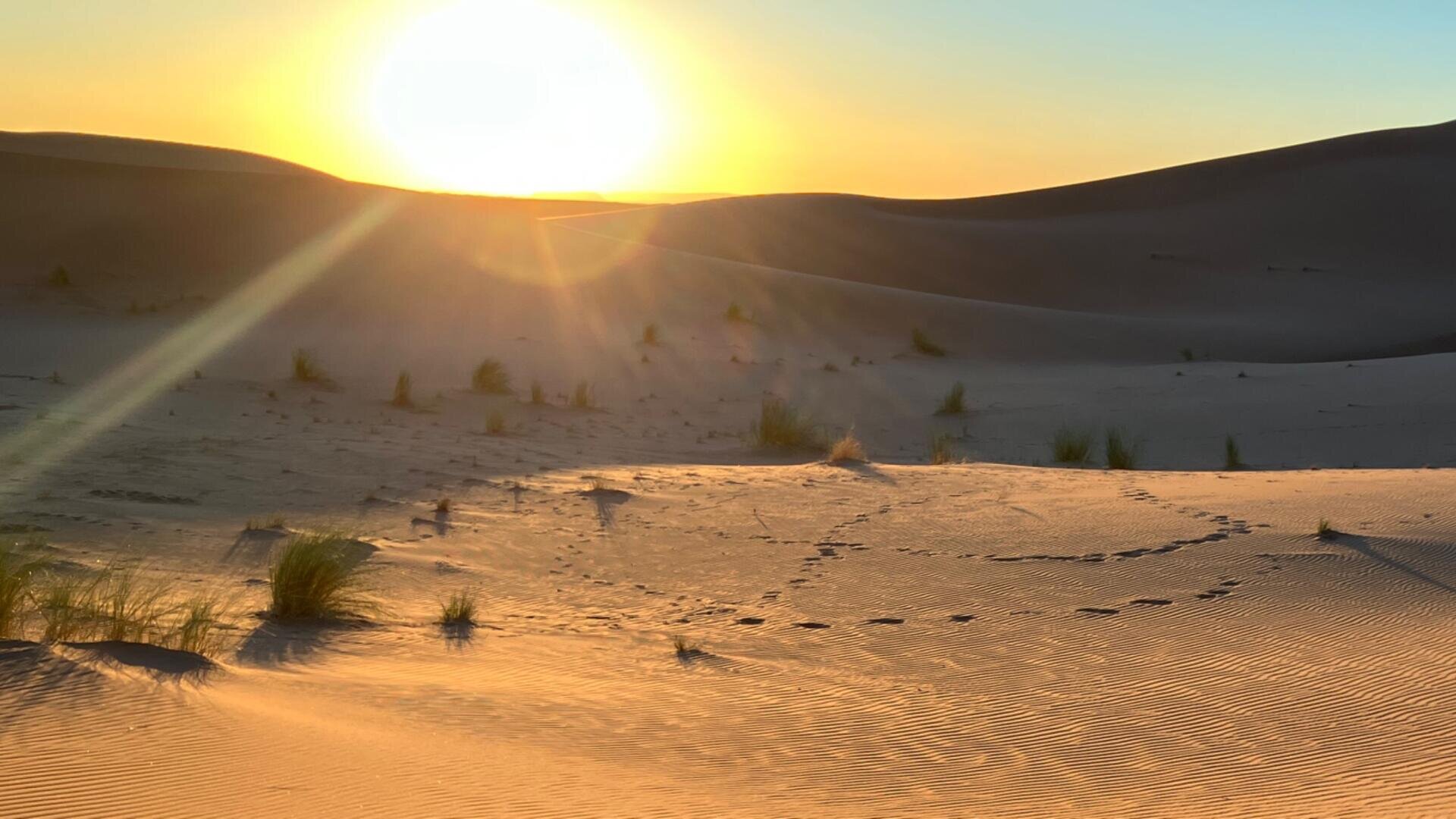 Sonnenuntergang über Sanddünen mit Fußspuren und vereinzelten Grasbüscheln im Vordergrund. Das Sonnenlicht wirft lange Schatten und lässt die wellenförmigen Muster im Sand erstrahlen.