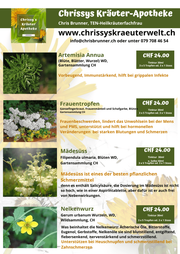 Ein Flyer für Chrissys Kräuter-Apotheke präsentiert pflanzliche Heilmittel mit Abbildungen von Pflanzen, Beschreibungen, Anwendungsbereichen, Preisen in CHF und Kontaktdaten. Gelbe und grüne Gestaltungselemente heben verschiedene Produktbereiche hervor.