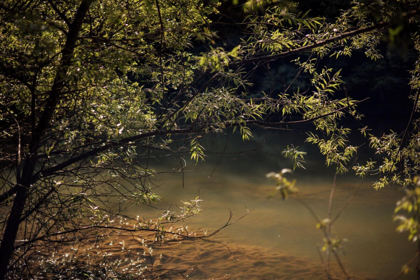 Sonnenlicht fällt durch die belaubten Äste der Bäume auf einen ruhigen, bräunlichen Fluss und schafft so eine friedliche, natürliche Szenerie mit sanften Spiegelungen auf dem Wasser.