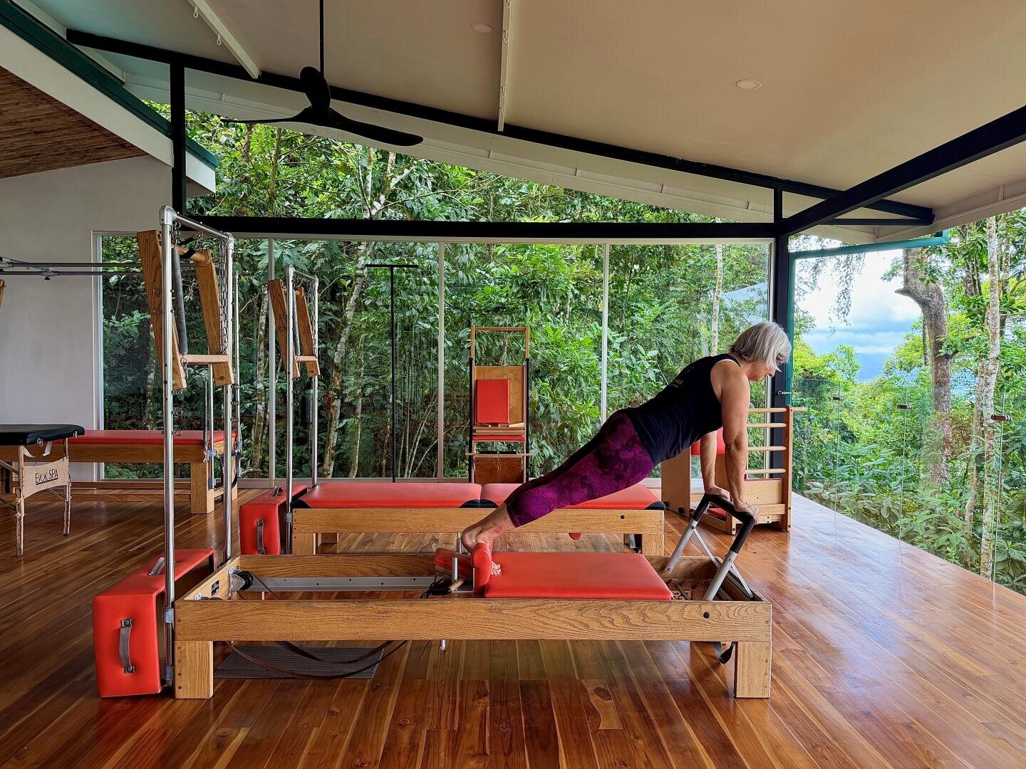 Eine Frau mit grauem Haar übt Pilates auf einem Reformer in einem hellen Studio mit großen Fenstern und Blick auf üppig grüne Bäume und die Natur draußen. Der Holzboden reflektiert das natürliche Licht.