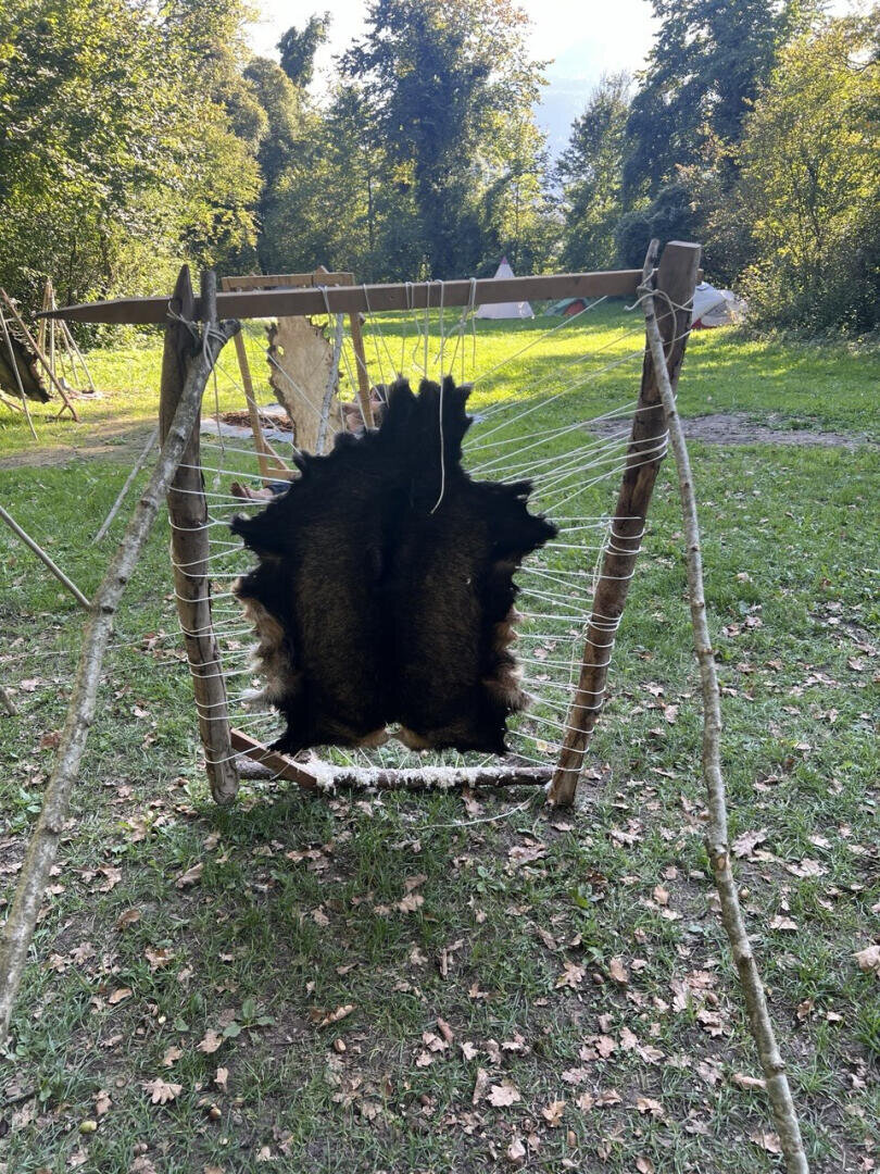Ein großes Tierfell ist gespannt und mit einem Seil an einem Holzrahmen befestigt, der auf Gras im Freien steht, umgeben von Bäumen und verstreuten Blättern.