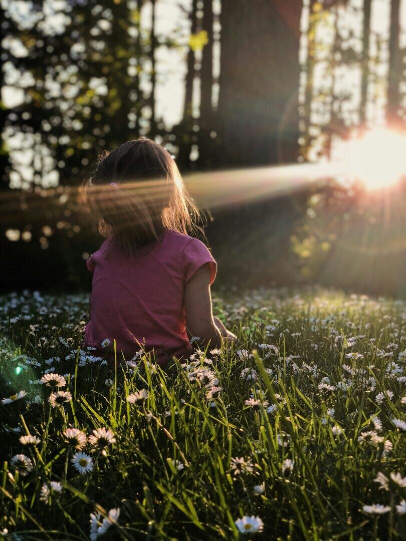 Ein Kind in einem rosa Hemd sitzt in einem Feld voller Gänseblümchen, während die Sonne hinter ihm untergeht.