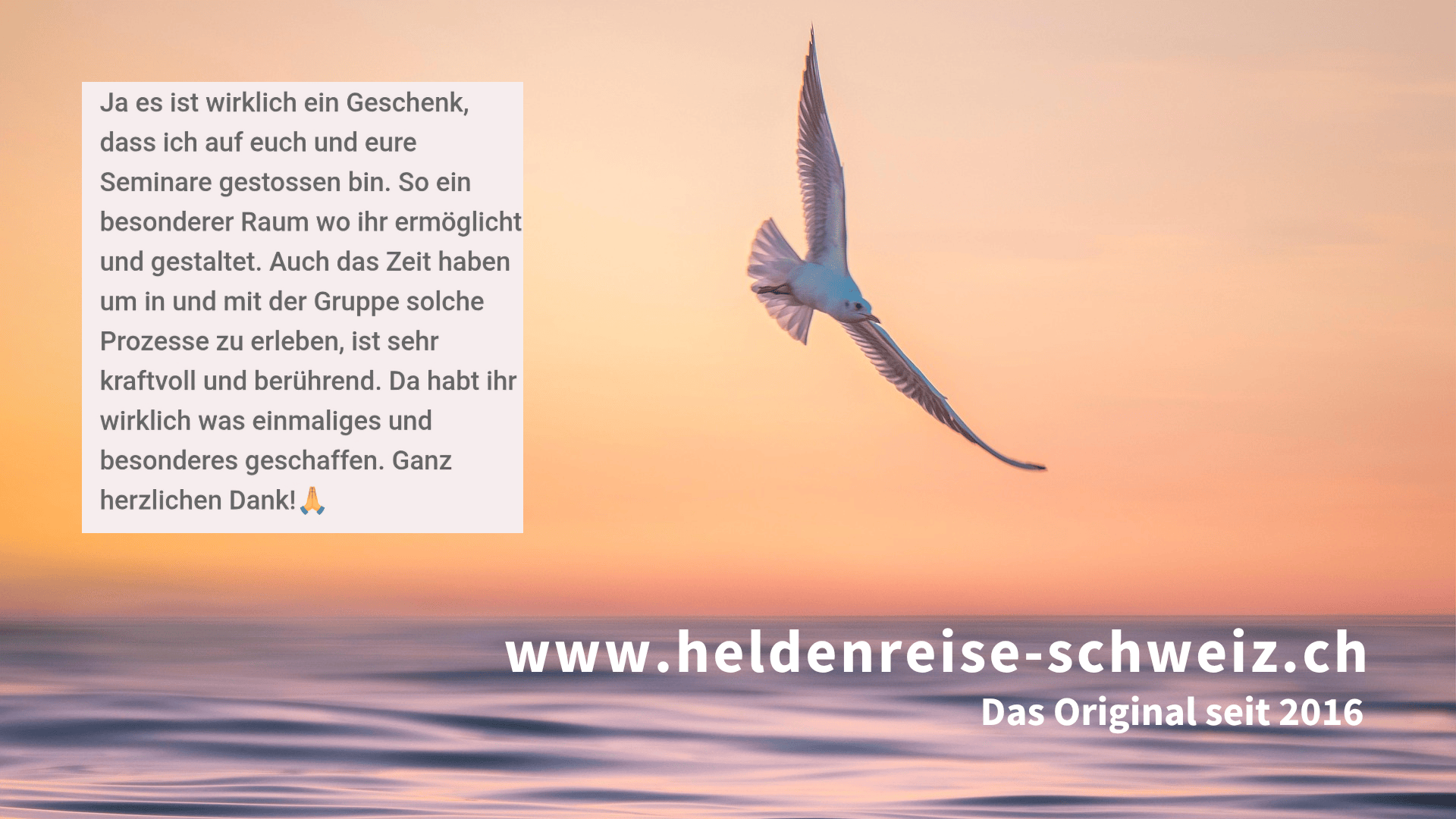 Eine weiße Möwe fliegt vor orangefarbenem Himmel. Links ist ein Text über Dankbarkeit für Seminare, rechts unten steht: www.heldenreise-schweiz.ch Das Original seit 2016.