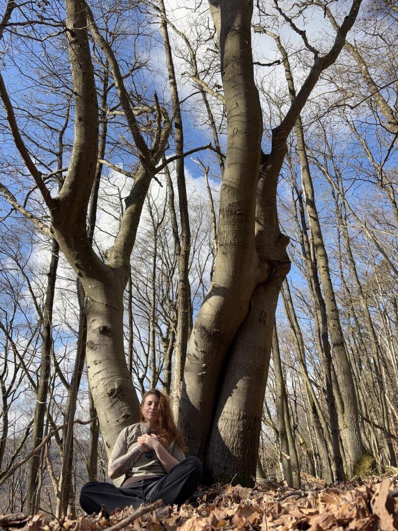 Eine Person mit langen Haaren sitzt im Schneidersitz auf gefallenen Blättern am Fuße eines großen Baumes in einem Wald. Das Sonnenlicht fällt durch die kahlen Äste vor einem blauen, wolkenverhangenen Himmel.