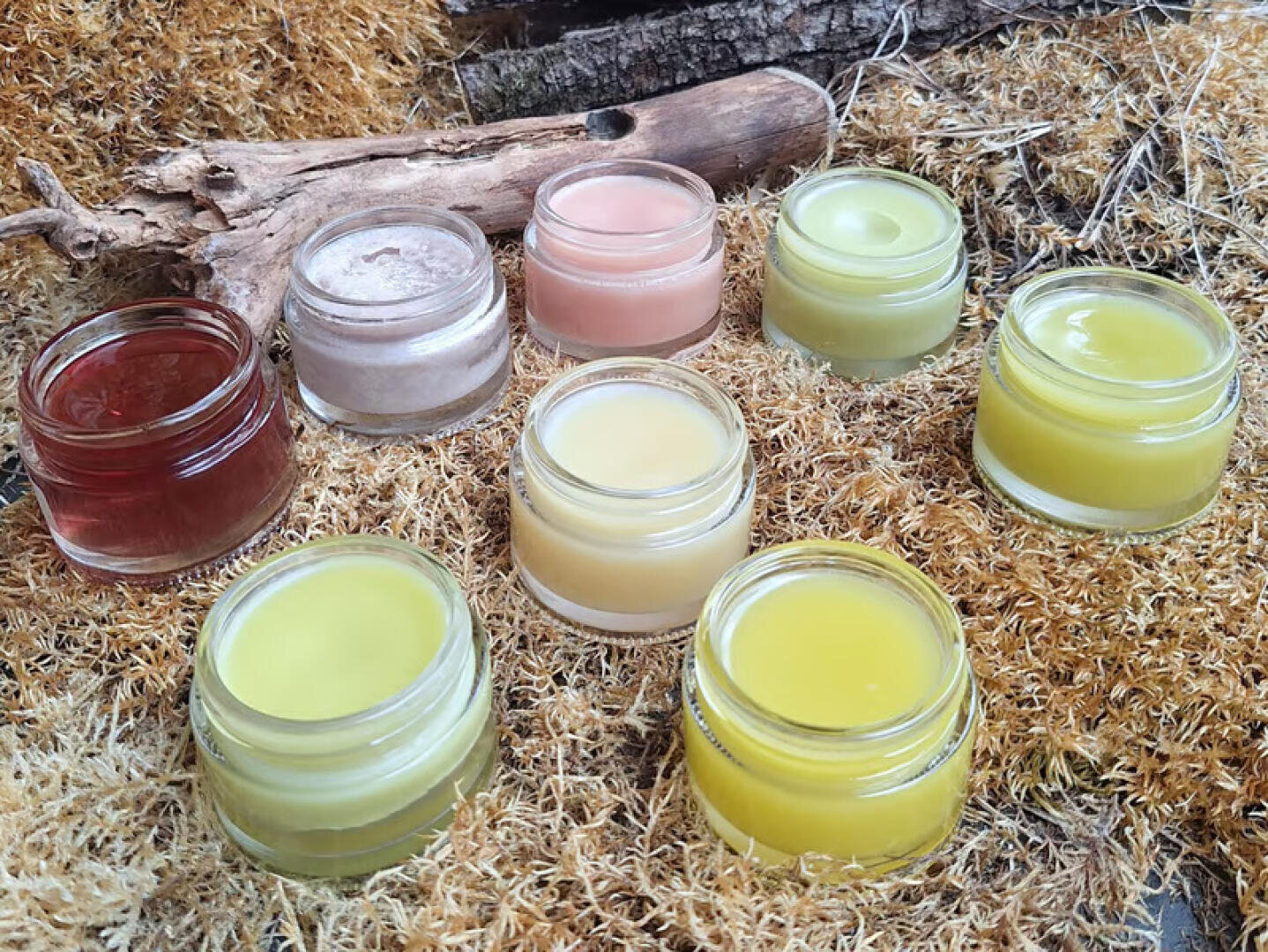Sieben kleine Gläschen, gefüllt mit verschiedenfarbigen Balsamen oder Cremes, sind auf einem Bett aus getrocknetem Moos angeordnet, im Hintergrund ist ein Stück Holz zu sehen.