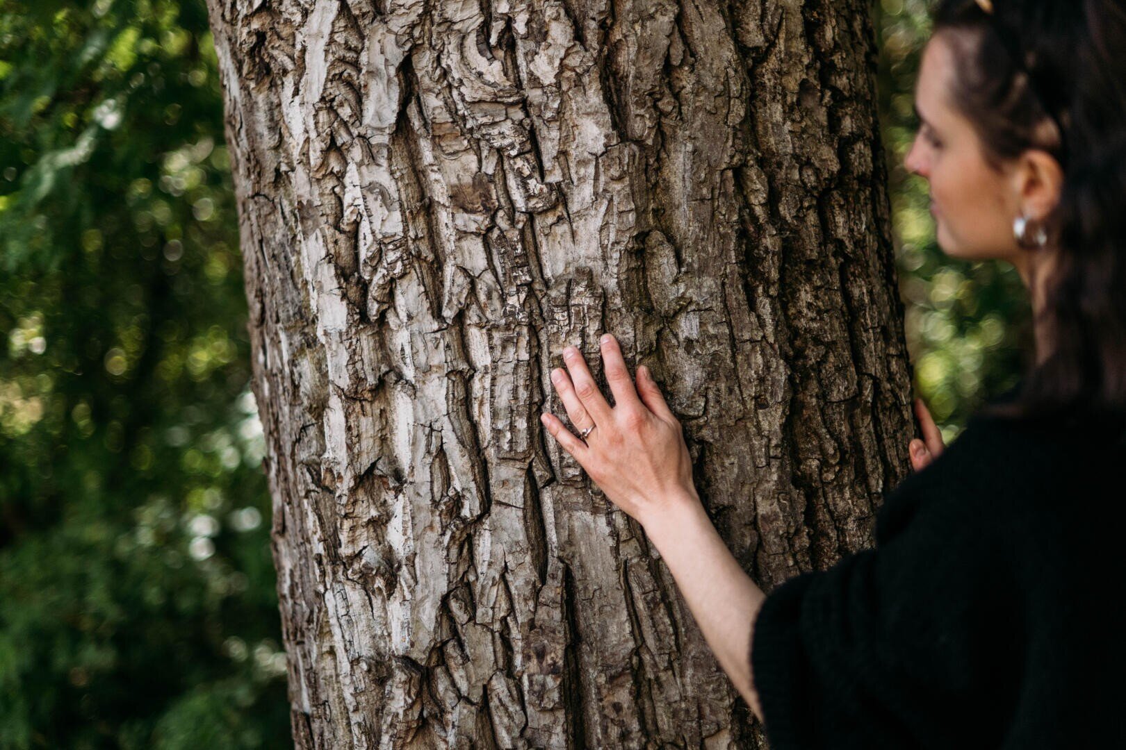 Eine Person berührt sanft mit der linken Hand die raue, strukturierte Rinde eines großen Baumes, während sie draußen in einer grünen, von Bäumen gesäumten Umgebung steht.
