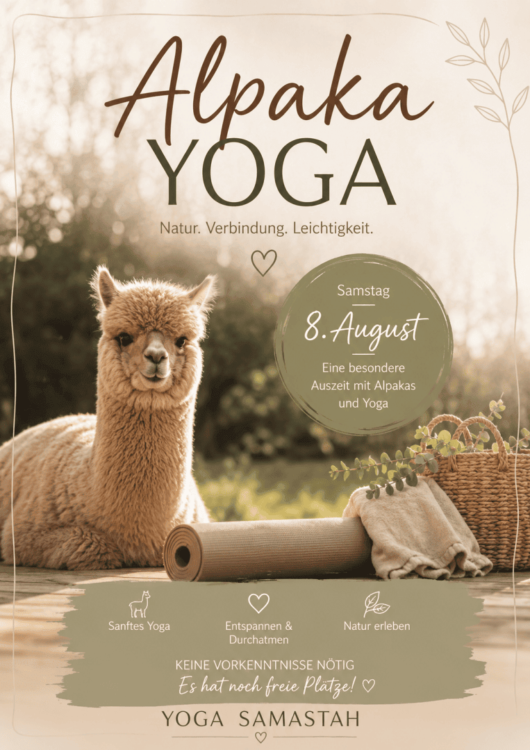 Ein Werbeplakat für „Alpaka Yoga“, auf dem ein entspannt auf dem Gras liegendes Alpaka vor einem sonnendurchfluteten Hintergrund zu sehen ist. Der Text informiert über eine Yoga-Veranstaltung mit Alpakas am 8. August, bei der sanftes Yoga, Entspannung und Naturerlebnisse angeboten werden.