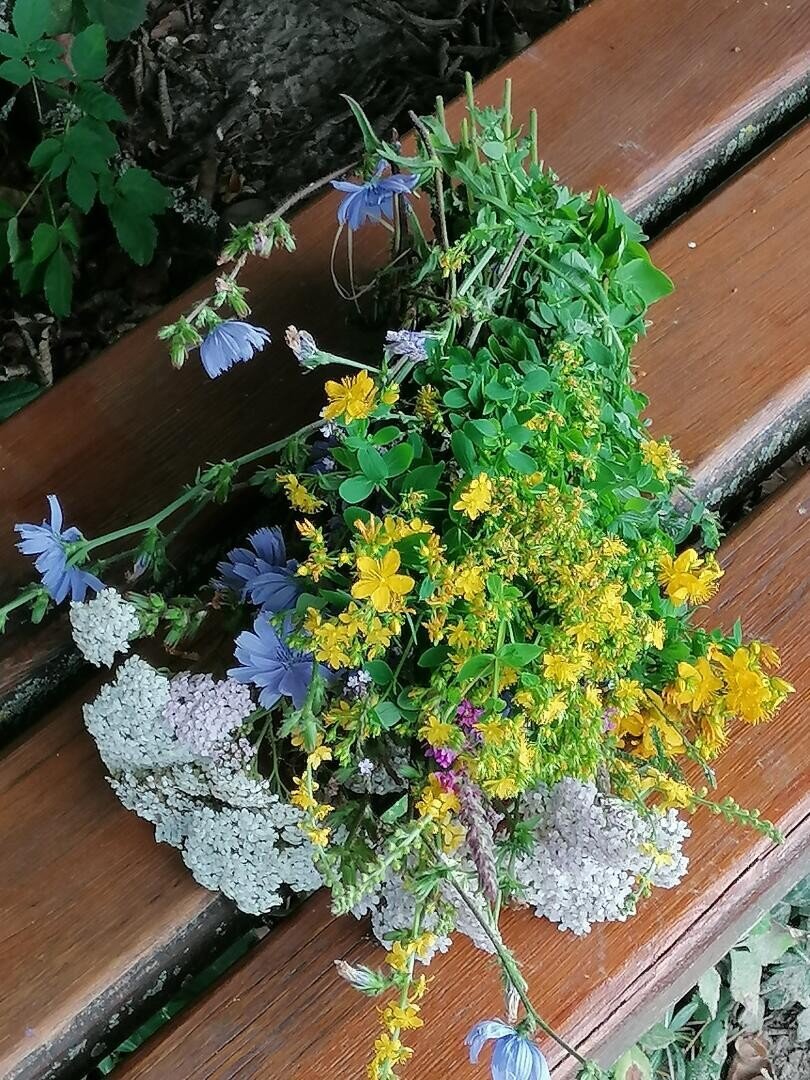 Ein bunter Strauß Wildblumen mit gelben, weißen und violetten Blüten liegt draußen auf einer braunen Holzbank. Zwischen den Blumen sind grüne Blätter und Stiele zu sehen.