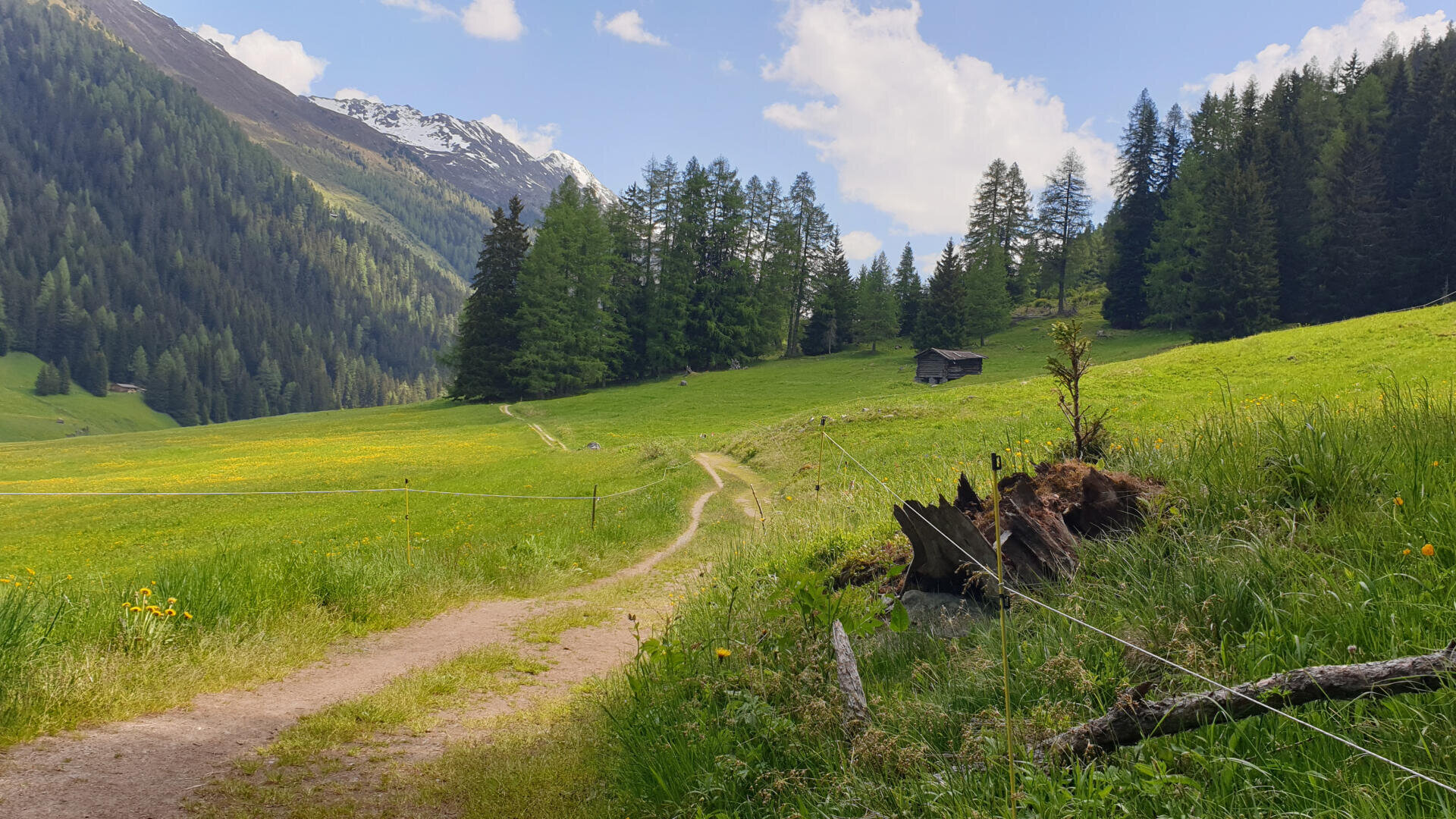 Ein gewundener Feldweg führt durch eine saftig grüne Wiese mit Wildblumen, vorbei an einem Baumstumpf und zu einer kleinen Hütte, die von Kiefern und Bergen umgeben ist, von denen einige mit Schnee bedeckt sind, unter einem teilweise bewölkten Himmel.