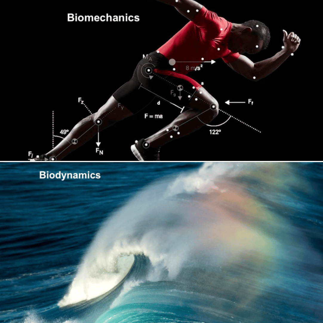 Obere Hälfte: Stilisiertes Bild eines Läufers mit biomechanischen Beschriftungen und Bewegungsvektoren. Untere Hälfte: Meereswelle mit regenbogenartigem Licht und der Aufschrift Biodynamics.