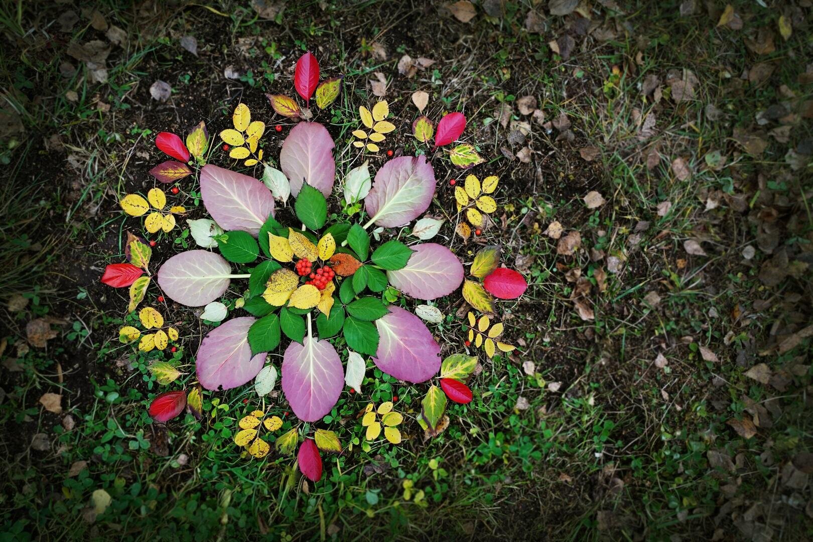 Ein Mandala aus bunten Herbstblättern und Beeren, die in einem kreisförmigen Muster auf dem Boden angeordnet sind, umgeben von Gras und kleinen Pflanzen.