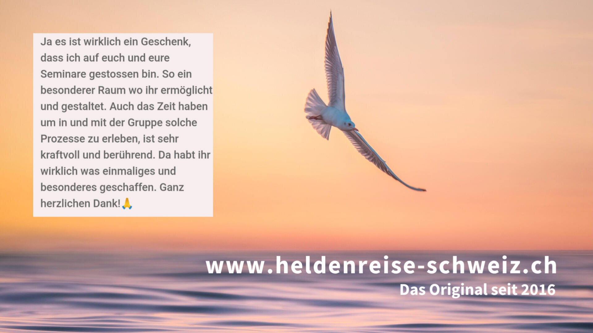 Eine weiße Möwe fliegt vor orangefarbenem Himmel. Links ist ein Text über Dankbarkeit für Seminare, rechts unten steht: www.heldenreise-schweiz.ch Das Original seit 2016.