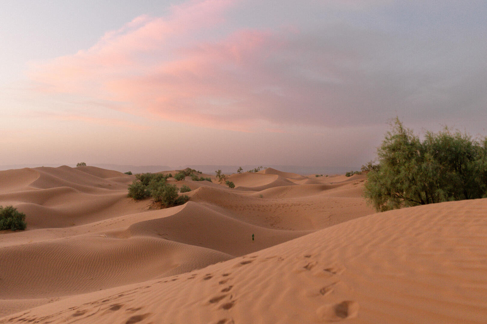 Zarte rosa Wolken bei Sonnenuntergang über goldenen Sanddünen, die mit grünen Sträuchern übersät sind; Fußspuren führen unter einem pastellfarbenen Himmel durch die sandige Landschaft.