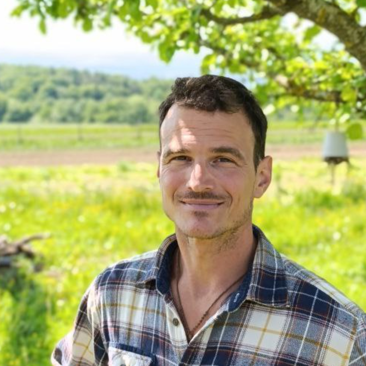 Lukas Stefan Ackermann